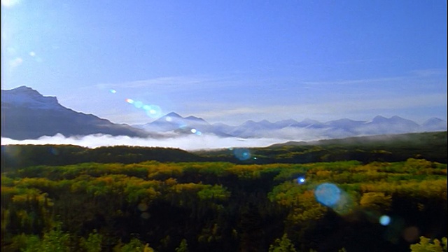 时间流逝缩小了在山谷树木上的浓雾/阿拉斯加山脉的背景/德纳里国家公园，阿拉斯加视频素材