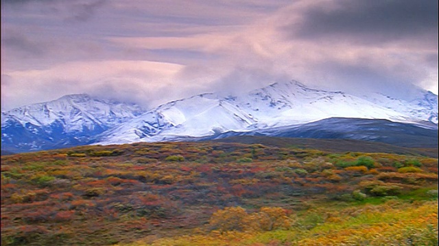 在阿拉斯加德纳里国家公园的草地山丘+雪山/阿拉斯加山脉上的时间流逝云视频素材