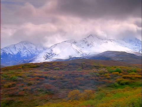 在阿拉斯加德纳里国家公园的草地山丘+雪山/阿拉斯加山脉上的时间流逝云视频素材