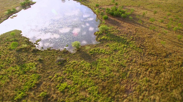 MS AERIAL Stream和flatlands / Karumba，昆士兰，澳大利亚视频素材