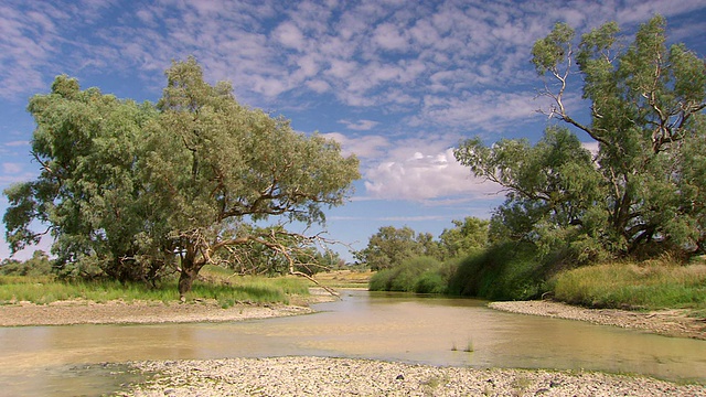 WS PAN Cooper creek with trees and cloudy sky / Innamincka，南澳大利亚，澳大利亚视频素材