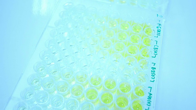 科学家和生物实验室实验视频素材