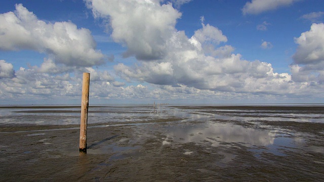 北海瓦登海WS View of Wadden Sea, North Frisia / Westerhever / Westerhever，石勒苏益格荷尔斯泰因，德国视频素材