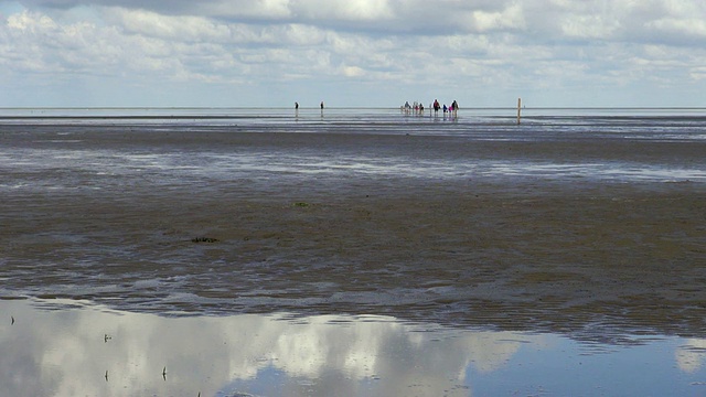 wadden sea，世界遗产自然遗址，North sea, North Frisia, St. Peter Ording，石勒苏益格荷尔斯泰因，德国视频素材