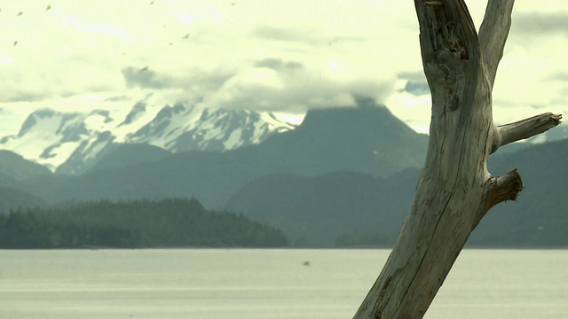 “从阿拉斯加的霍默、基奈半岛(Kenai Peninsula)附近眺望卡切马克湾(Kachemak Bay)，看到卡切马克湾州立公园(Kachemak Bay State Park)和荒野公园(Wilderness Park)，积雪覆盖的山脉，前景是浮木，从山到木再到山。”视频素材