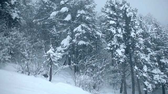 滑雪者从镜头前经过视频下载