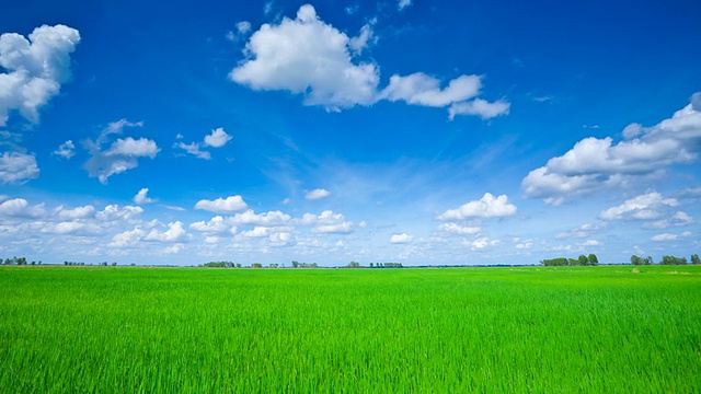 绿色的田野和蓝色的天空视频素材