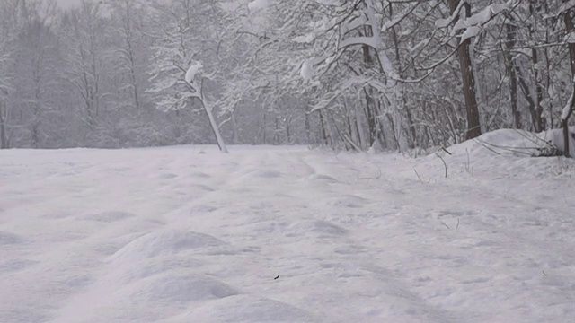 HD超级慢莫:雪落在地面上视频素材