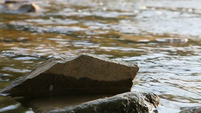 流水河岸视频下载