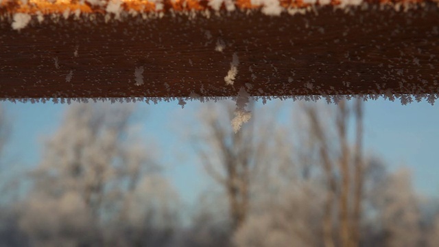 雪花视频下载