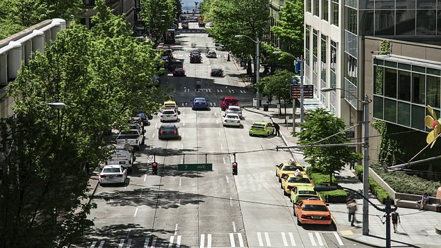 在西雅图市中心的一条宽阔的、单行的、绿树成荫的道路上行驶的时间流逝视频素材