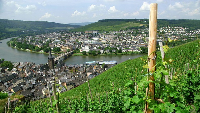 房屋全景，树木桥/ Bernkastel-Kues，莱茵兰-普法尔茨，德国视频素材