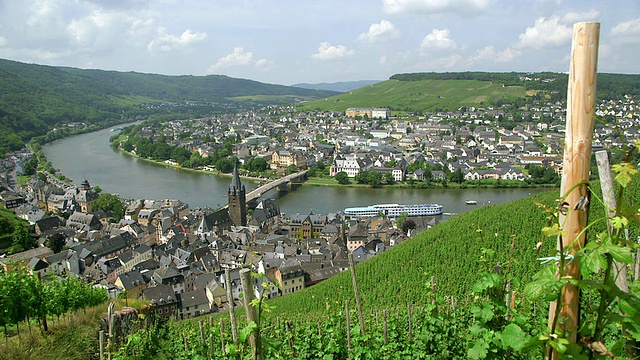 房屋全景，树木桥/ Bernkastel-Kues，莱茵兰-普法尔茨，德国视频素材