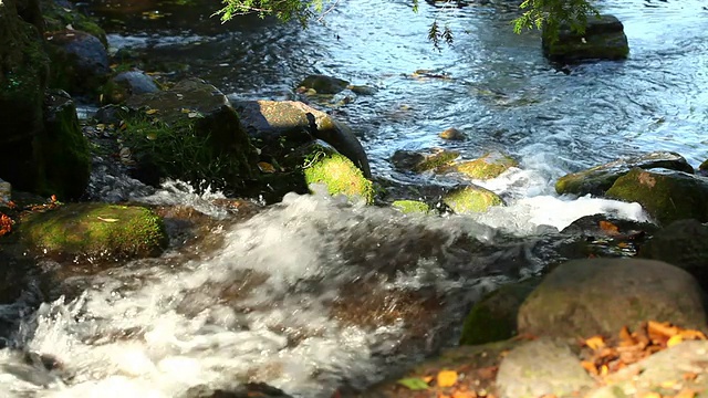 级联+音频视频素材