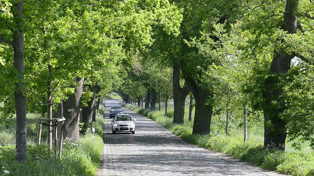 汽车通过鹅卵石大道，德国大道路/ Put公共汽车，鲁根/梅克伦堡西波美拉尼亚，德国视频素材