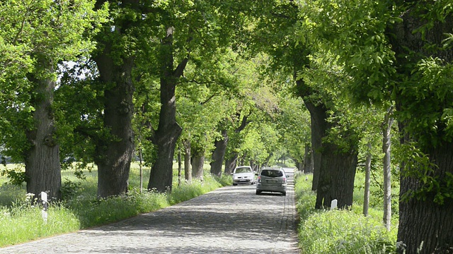 汽车通过鹅卵石大道，德国大道路/ Put公共汽车，鲁根/梅克伦堡西波美拉尼亚，德国视频素材