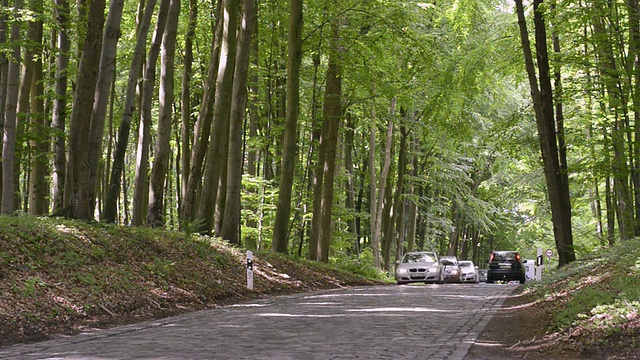 汽车行驶在鹅卵石路上穿过森林，德国大道路/ Put公共汽车，鲁根/梅克伦堡西波美拉尼亚，德国视频素材