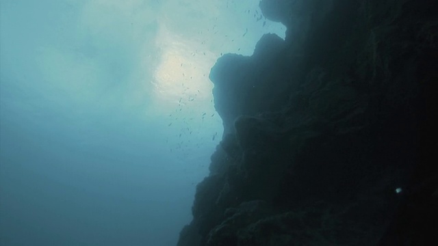 “海洋表面向上的戏剧性镜头，鱼和岩层的轮廓”视频素材