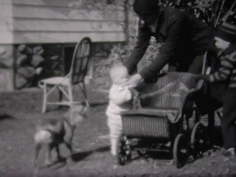 1934年蹒跚学步的大耙子摔倒了视频素材