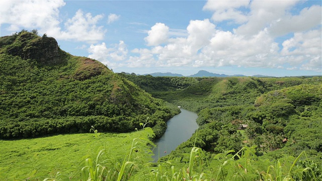 夏威夷考艾岛，怀卢阿河州立公园景观视频素材