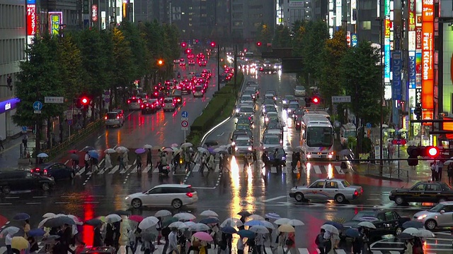 新宿在雨中视频素材