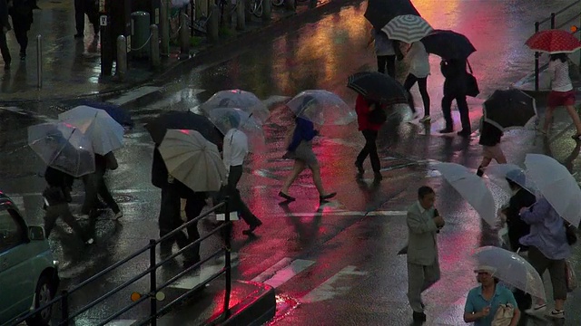 新宿在雨中视频素材