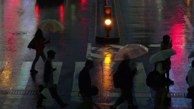 新宿在雨中视频素材