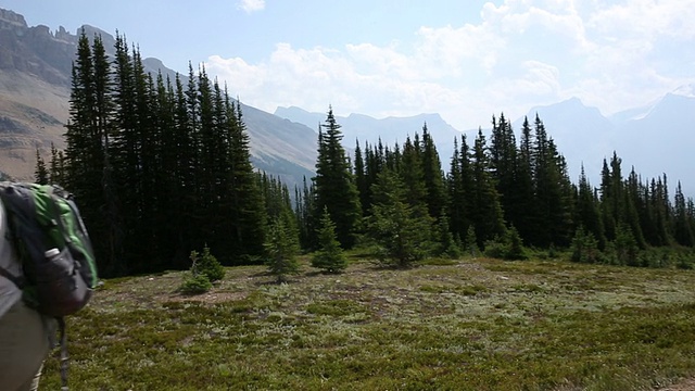 女徒步旅行者走过山间草地上的小路视频素材