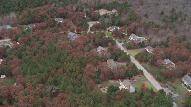 在马萨诸塞州诺伍德南部森林中的农村住宅区。拍摄于2011年11月。视频素材