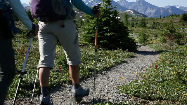 三个女性朋友一起徒步穿越高山草地视频素材