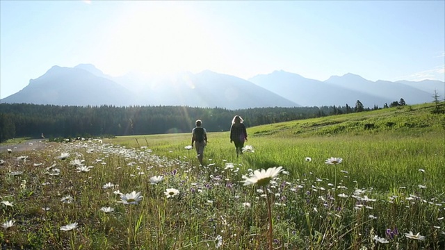 徒步旅行的夫妇走过高山草地，山脉视频素材