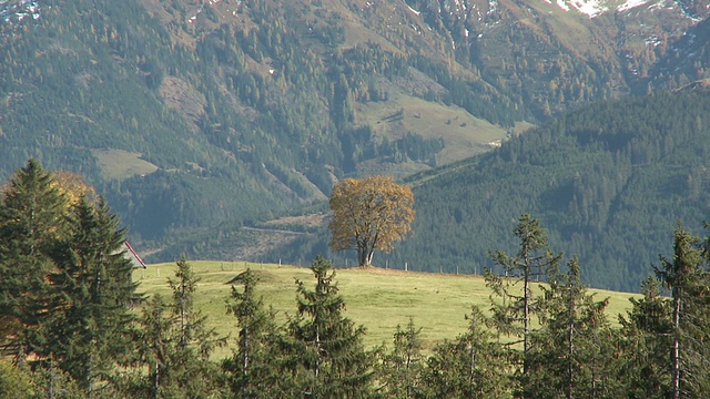 Hohe Tauern国家公园，山脉视频素材