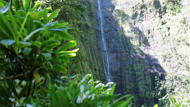 夏威夷毛伊岛Makahiku瀑布视频素材