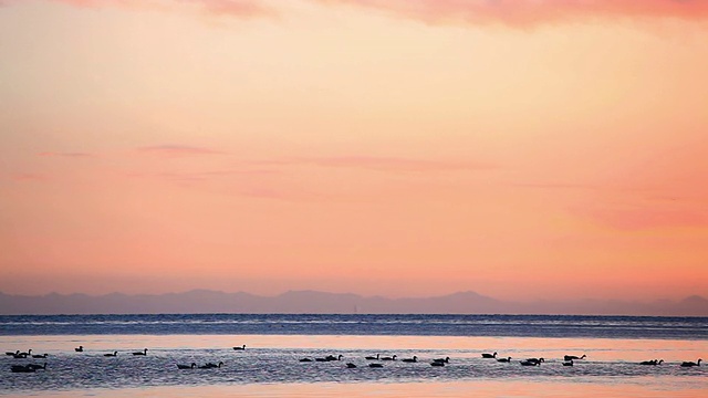 青海湖的黎明视频素材