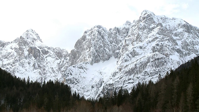 斯洛文尼亚Triglav Bohinj远处积雪覆盖的山脉下的树线视频下载