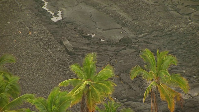 美国夏威夷大岛上，人们在熔岩流上行走视频素材