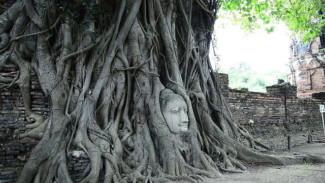 古代石佛造像视频素材