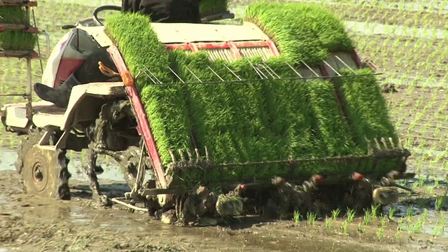 一位农民正在驾驶水稻种植机视频素材