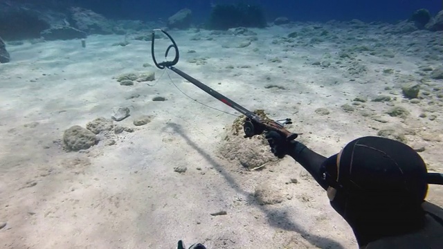 在水下用矛枪射击视频素材