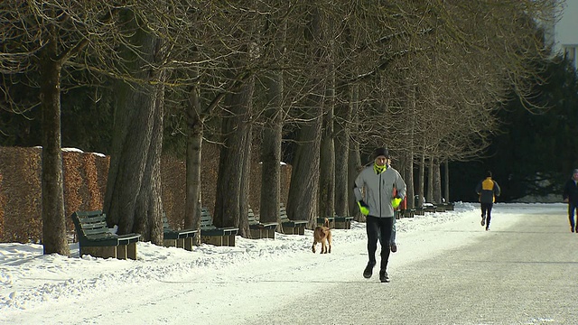 尼芬堡城堡-公园，慢跑的男人，男人和他的狗，雪视频素材