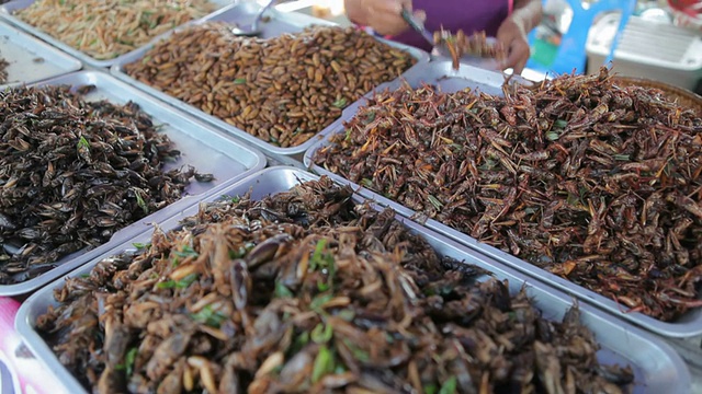 异国情调的食物菜单视频素材