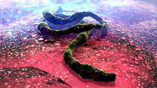 埃博拉病毒视频素材
