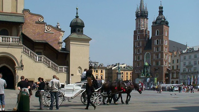 波兰克拉科夫，Rynek Glowny(主要广场)的一辆马车视频素材