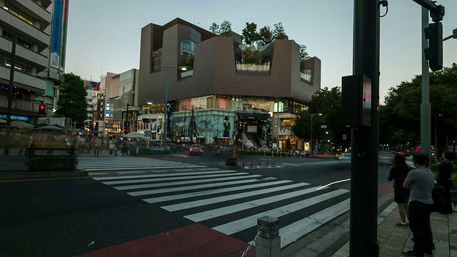 日本原宿区的东京十字路口视频素材