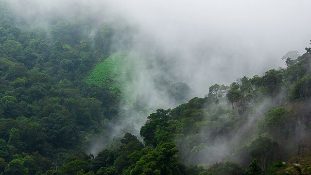 雾滚滚流过群山，时光流逝视频素材