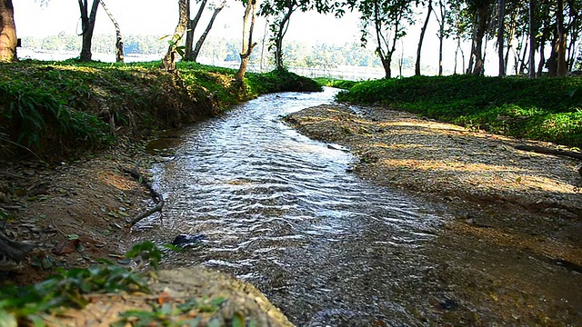 摄影:流入湖中的污水视频素材