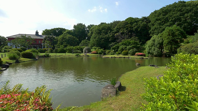 小石川植物园的绿叶和池塘视频素材