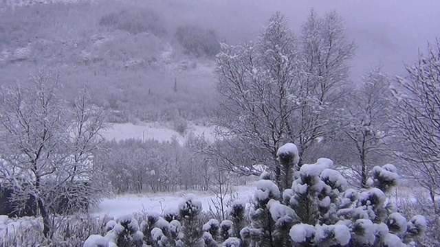 白雪皑皑的郊区。视频素材