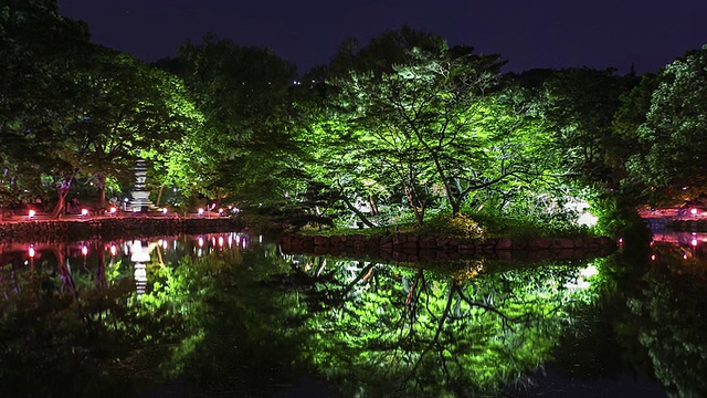 长庆宫春当池夜景视频素材