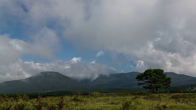 在Hallasan(山)和Junggansan(山)和一棵树之上的流动的云视频素材